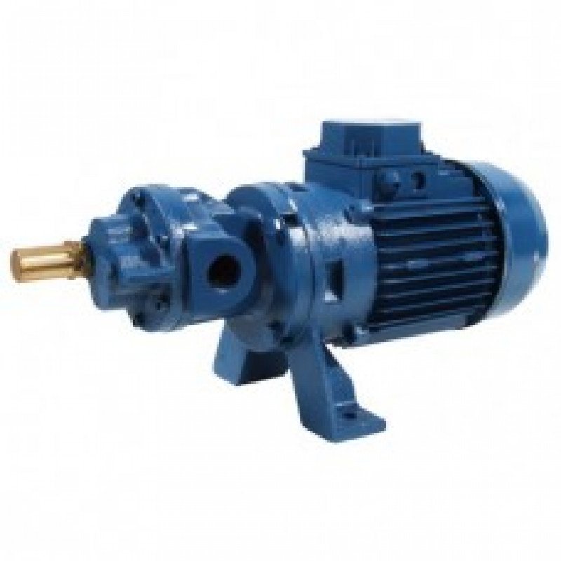 GMP Gear Self Priming Surface Mounted Electric Pumps Products Link