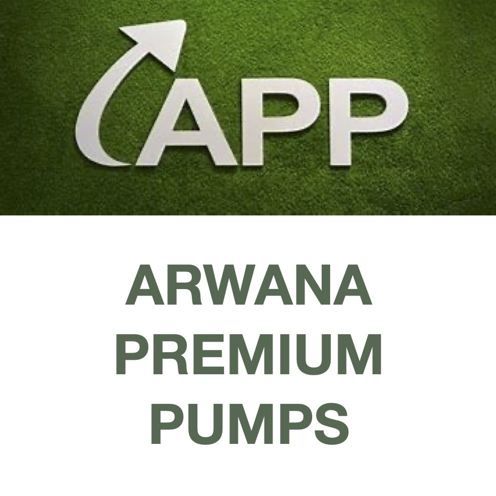 APP Pumps