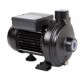 Pentair CM Single Impeller Centrifugal Electric Pumps Products Link