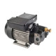 Piusi Pumps Electric Oil Transfer Pumps 110/230/400v