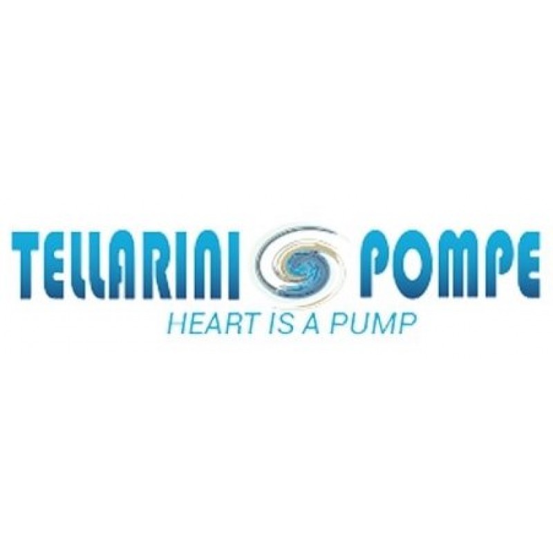 Tellarini Pumps